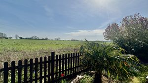 Photo 3- click for photo gallery